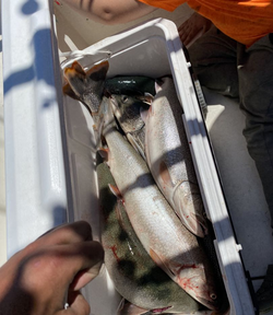 1 person fishing in East Chicago