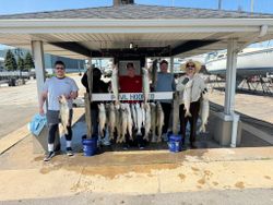 Five chinook salmon, coho salmon, and tarpon fish in an outdoor fishing scene in East Chicago
