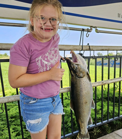 Rainbow trout caught in IN