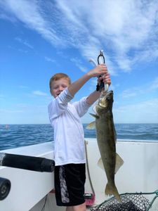 One angler fishing in OH