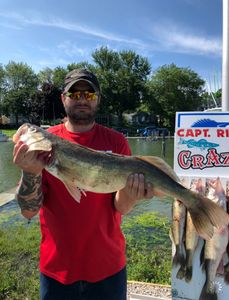 Fisherman with a 28-inch catch in Marblehead
