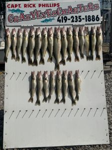 18 bluefish caught in Marblehead