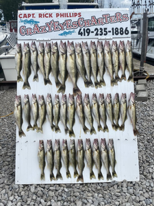 16 bluefish caught in Marblehead