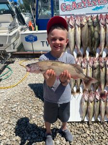 4 fish caught in Marblehead