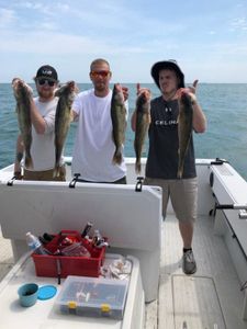 5 big fish caught by 3 people in Marblehead