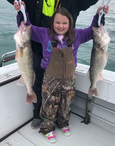 Two largemouth bass and pike-perch fish caught in Marblehead