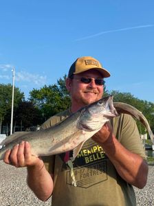 Single person fishing in Marblehead