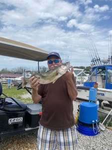 A Pike-Perch fish caught in Marblehead