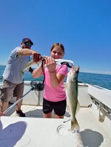 A single, large pike-perch fish caught in Marblehead