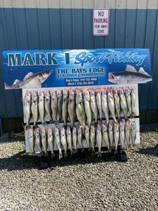 Three fish caught while fishing in OH