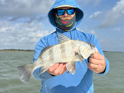 Nice black drum using light tackle in Port O'Connor! Great day on the water.