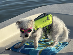 Best fishing buddy ready for adventure on the water! Clear skies and good vibes.