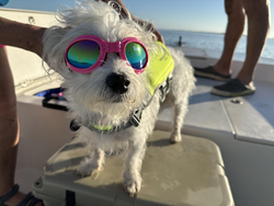 Our best fishing companion ready for an exciting adventure! Clear conditions perfect for trolling and light tackle fishing.