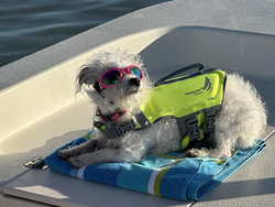 Best fishing buddy ready for adventure! Clear skies and calm waters in Port O'Connor.