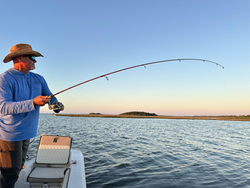 Bent rod action using light tackle and trolling techniques in clear conditions!