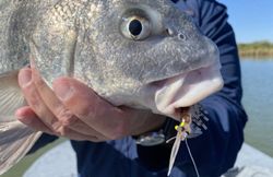 Scenic view of Port O'Connor fishing spot