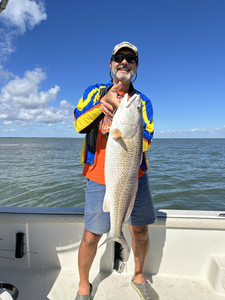 Nice redfish using trolling and light tackle in clear conditions!