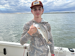 Nice redfish caught trolling in Port O'Connor today!
