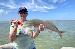 Redfish caught while fishing in TX