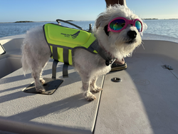 First mate ready for adventure! Clear conditions perfect for trolling and light tackle fishing.