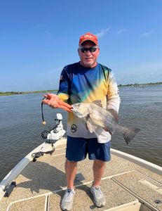 Photograph of a 17-inch black drum being caught while fishing in Cocodrie