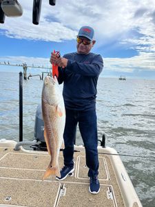 Fishing expedition in Cocodrie with a 29-inch catch