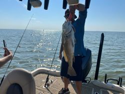 Fishing Trips In Cocodrie