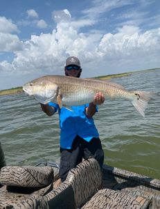 Redfish caught in Cocodrie, Louisiana