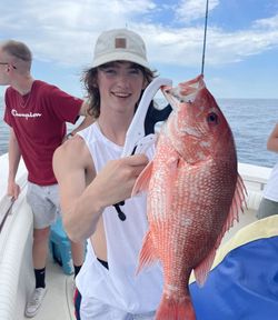 Fishing for grey snapper in MS