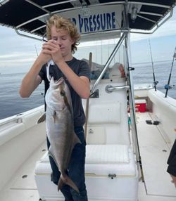 Longfin Yellowtail fish caught while fishing in Ocean Springs