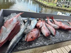 Two fish caught while fishing in the ocean at Ocean Springs