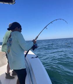 Scenic landscape in MS with fishing equipment