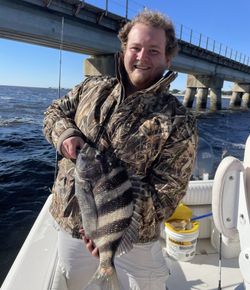 Sheepshead fish caught while fishing in Ocean Springs