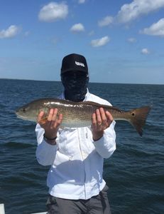 Redfish Fishing Bliss In Rockport, TX