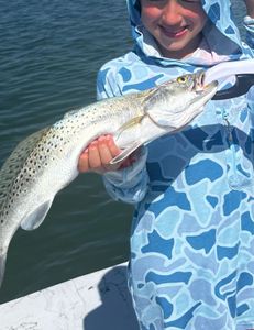 Trout Bounty Captured In Baffin Bay