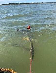 Fishing In Rockport's Bountiful Waters