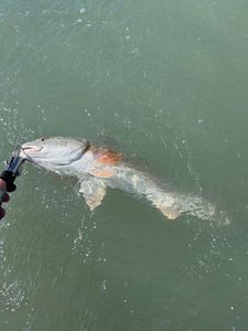 A scenic landscape of Rockport with fishing and hunting activities