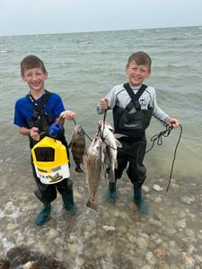 Two black drum fish caught in Rockport