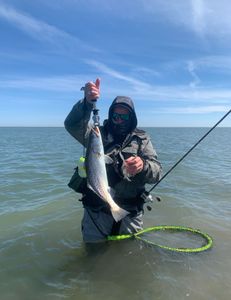 Rockport Trout Treasures