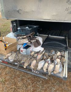 Dove Hunting Thrills