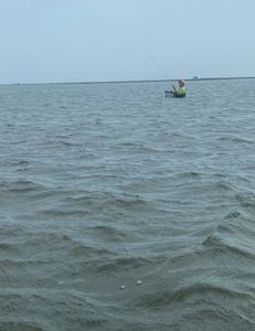 Scenic landscape in TX with fishing and hunting activities