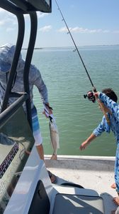 Redfish caught in Rockport