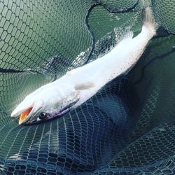 Fishing adventure in Rockport