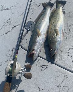 Two anglers enjoying a fishing adventure in Rockport