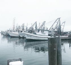 Scenic view of Rockport landscape