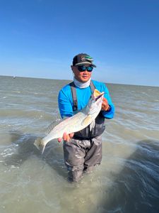 Speckled trout catch during wade fishing in Rockport TX coastal waters