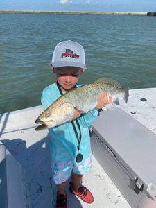 Spotted Weakfish, 19 inches, caught in Rockport