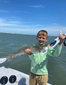 Spotted Weakfish, 23 inches, caught by fisherman in Rockport