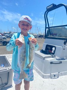 Two spotted weakfish caught while fishing in Rockport