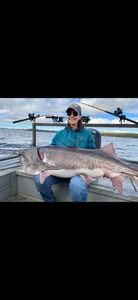 Massive paddlefish catch! 🐟🎣 #FishingLife